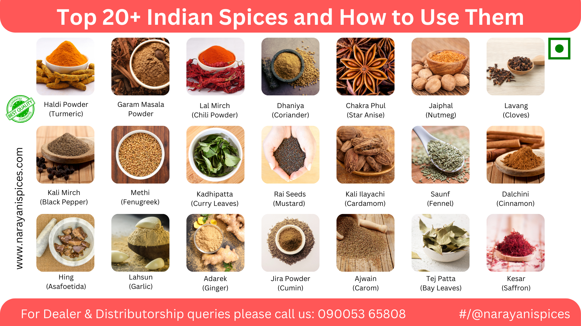 Top 20+ Indian Spices and How to Use Them